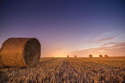 Scenic view of rural landscape