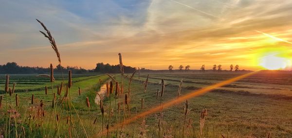 Scenic view of field against sky during sunset