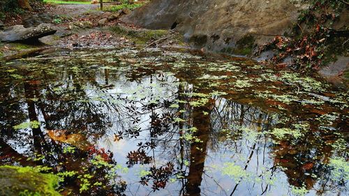 Scenic view of water