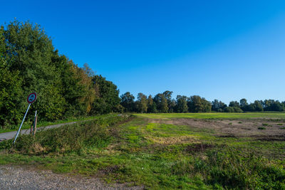 Trees on field against clear blue sky