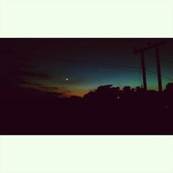 Silhouette of trees at sunset