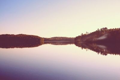 Reflection of trees in calm lake