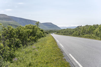 Road by trees against sky