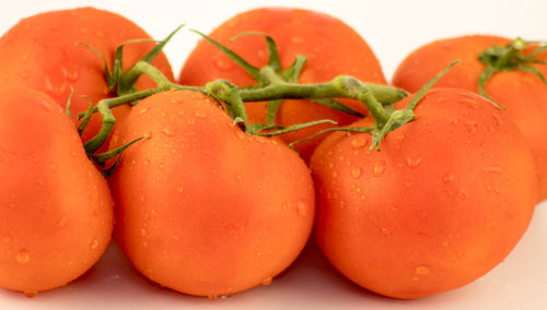 Close-up of fresh tomatoes against orange background