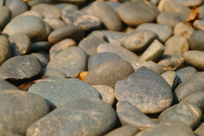 Full frame shot of pebbles