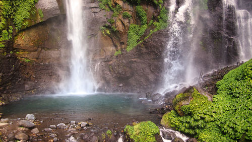 View of waterfall in forest