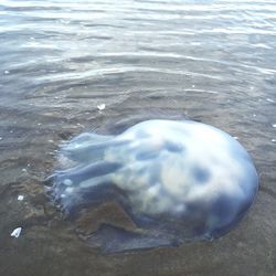 View of sea through water