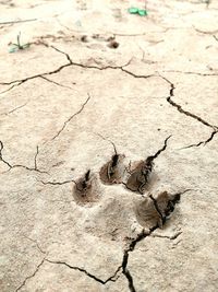 Full frame shot of cracked wall