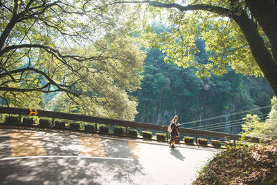 Man walking on footbridge against plants