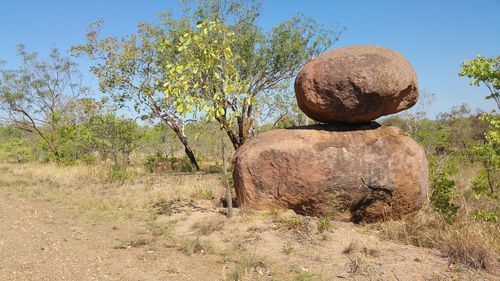 View of rocks on field against sky