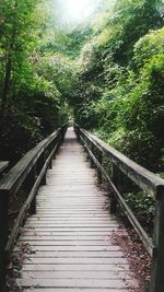 Footbridge in forest