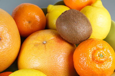 High angle view of oranges