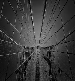 Close-up of spider web