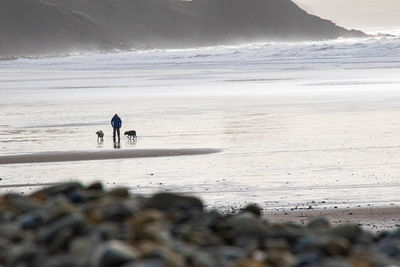 People at beach against sky