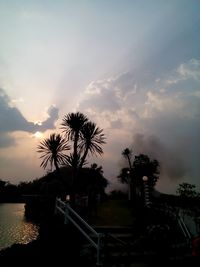 Palm trees against cloudy sky