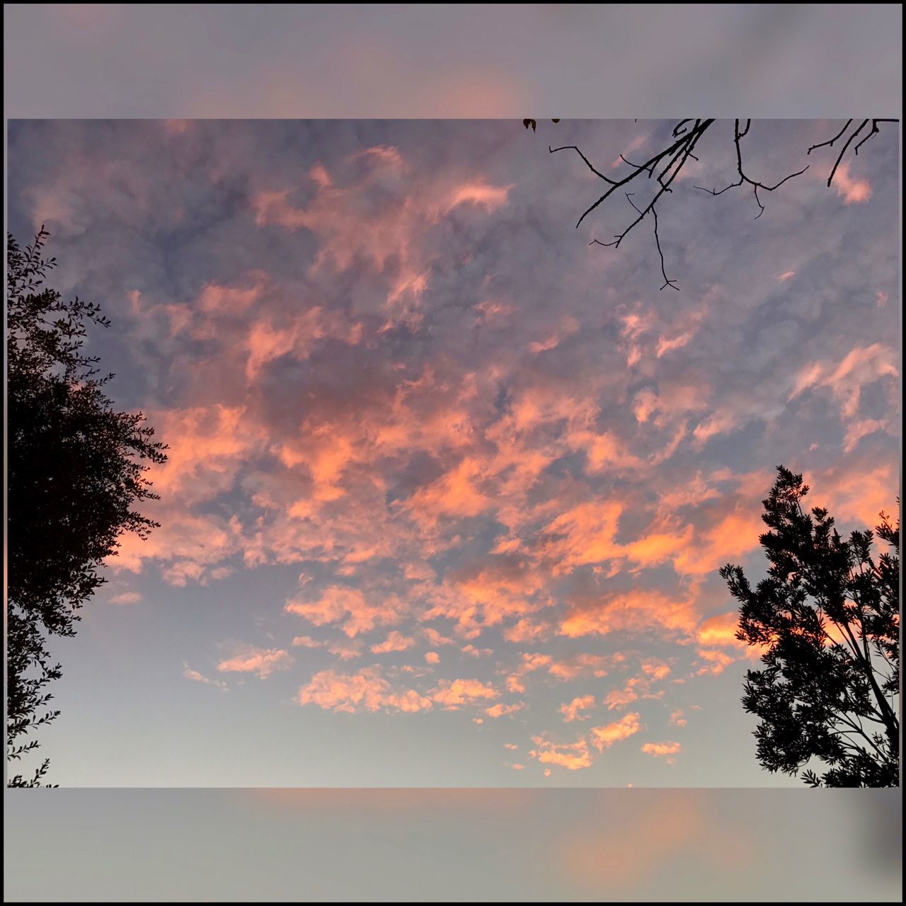 sunset, tree, sky, silhouette, nature, cloud - sky, beauty in nature, no people, outdoors, tranquility, scenics, day