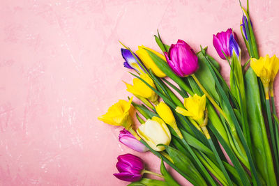 High angle view of pink tulips