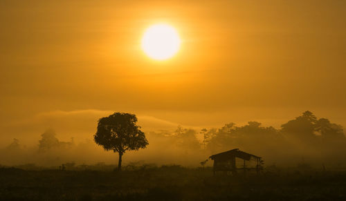 Silhouette trees on field against orange sky