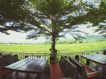 Trees in park against sky