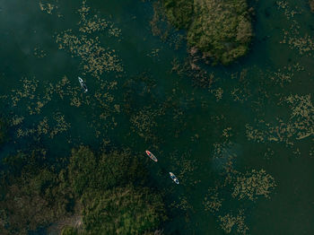 Top view of tourists on lake with sup-boards. 