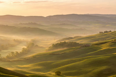 Rural view of a rolling landscape at dawn