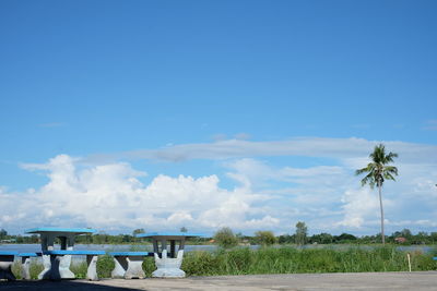Scenic view of field against blue sky