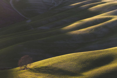 Scenic view of desert