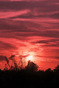 Silhouette trees against dramatic sky during sunset