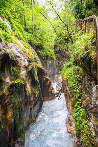 Stream flowing through rocks in forest
