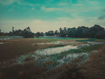 Scenic view of lake against sky