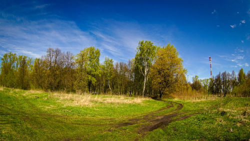 Trees on field against blue sky