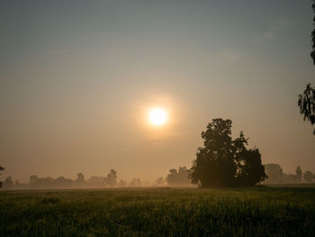 Scenic view of field against sky during sunset