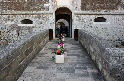 Potted plants outside historic building