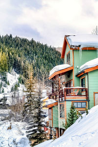 Snow covered houses and trees against sky