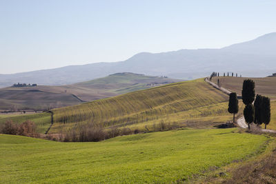 Scenic view of farm against sky