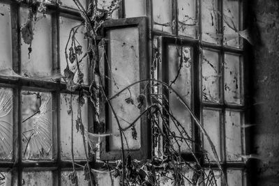 Abandoned building seen through broken window