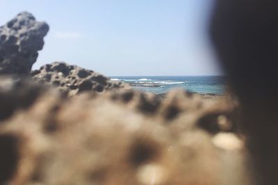 Close-up of man on beach against sky