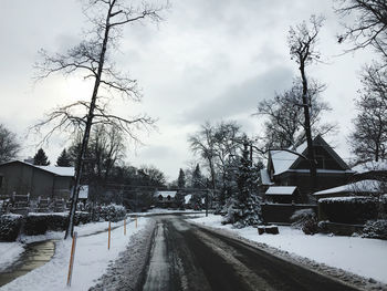 Snow covered road by trees and houses against sky during winter