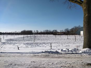 Trees on snow covered field against sky