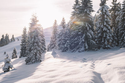 Snow covered landscape against sky