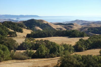 Scenic view of landscape against clear sky