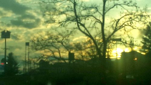 View of trees against sky at sunset