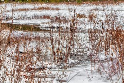 Scenic view of frozen lake during winter