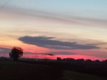 Silhouette trees on field against sky at sunset