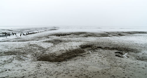 Scenic view of beach against clear sky during winter