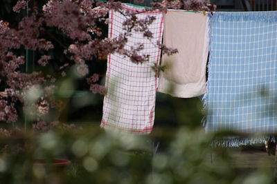 Close-up of clothes drying on clothesline