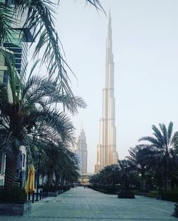 View of palm trees and buildings against sky