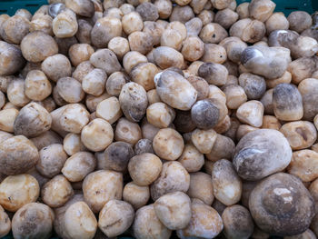 Full frame shot of onions for sale at market stall