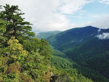 Scenic view of tree mountains against sky