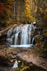 Scenic view of waterfall in forest